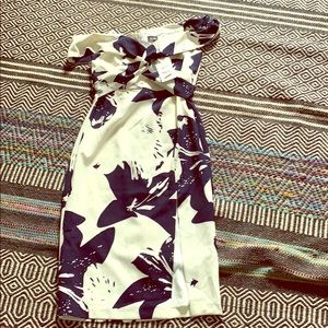 Beautiful Bardot dress